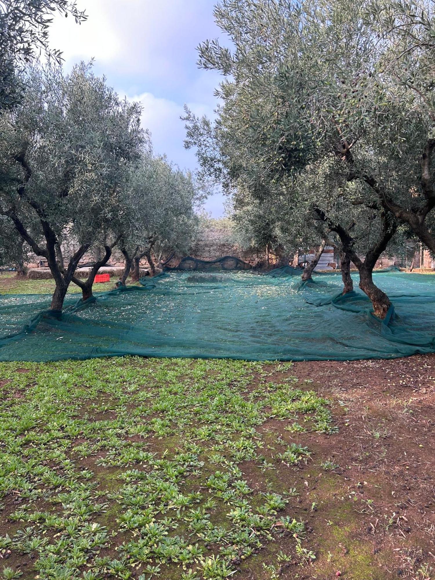 Sorelle Barnaba Country House Monopoli Exterior photo